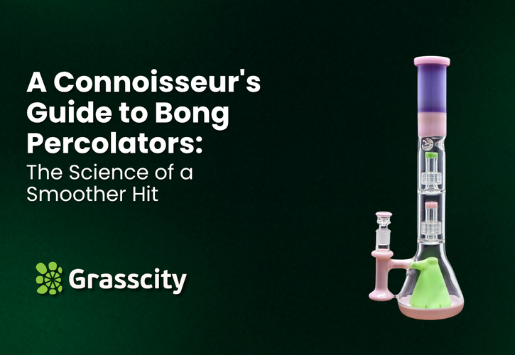 A Connoisseur's Guide to Bong Percolators: The Science of a Smoother Hit